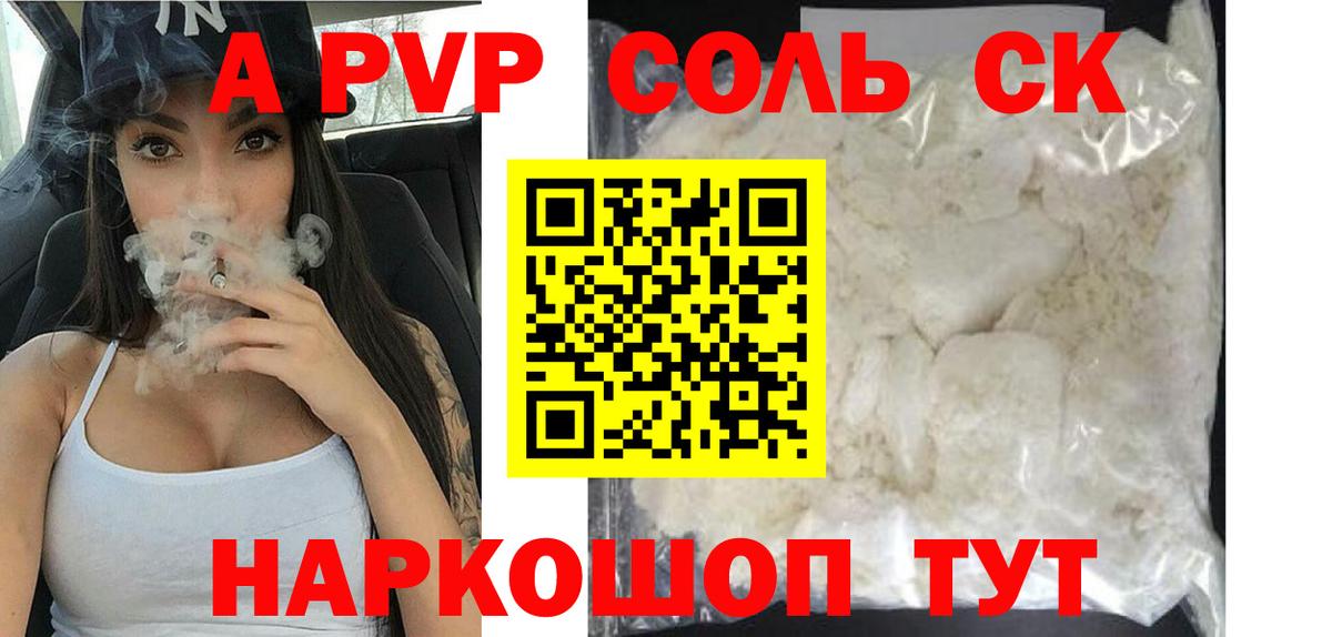 A PVP СК КРИС Новодвинск