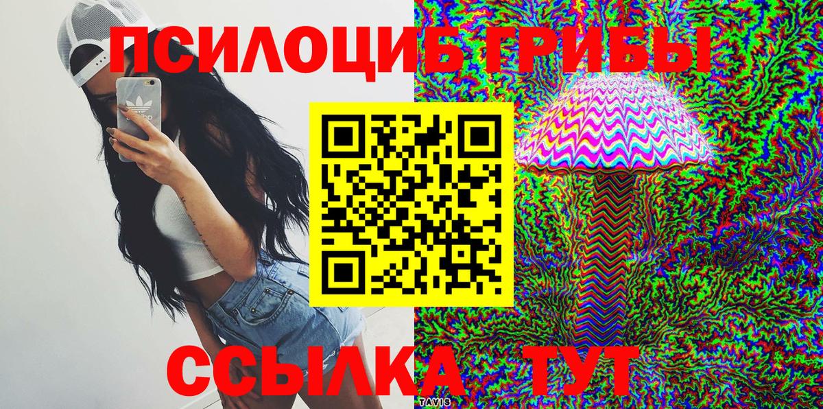 где купить   Псилоцибиновые грибы прущие грибы  Вход с VPN  Новодвинск 