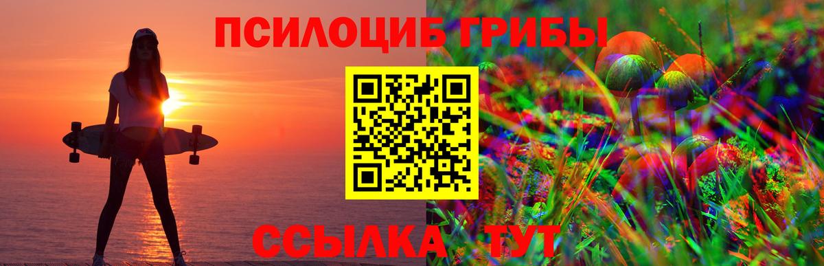 Псилоцибиновые грибы MAGIC MUSHROOMS Новодвинск